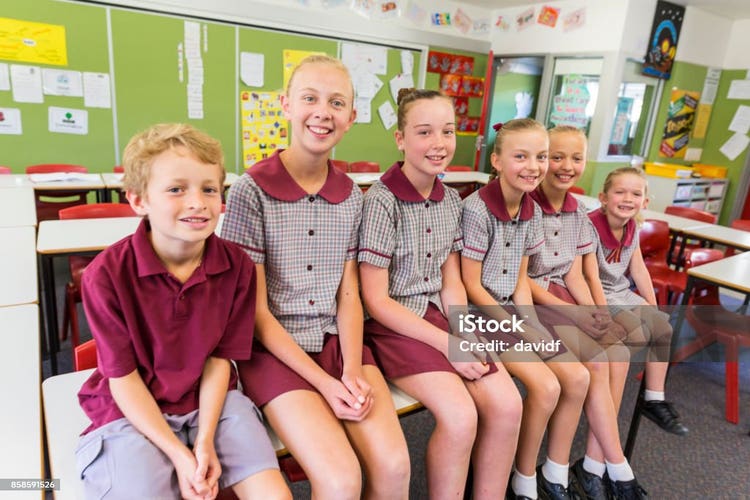 Group of Primary School Students Group of young primary school students looking at the camera Alertness Stock Photo